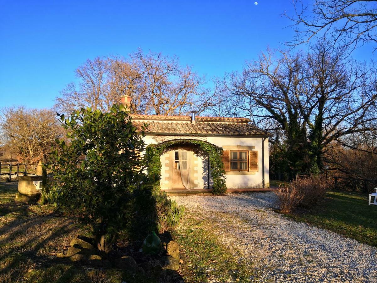 فيلا Maremma Country Chic Le Ginestre سوفانا المظهر الخارجي الصورة