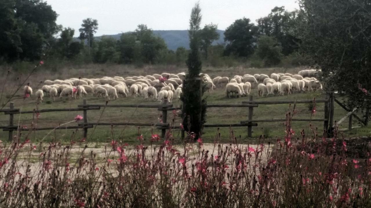 فيلا Maremma Country Chic Le Ginestre سوفانا المظهر الخارجي الصورة