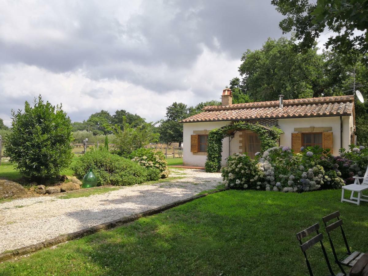 فيلا Maremma Country Chic Le Ginestre سوفانا المظهر الخارجي الصورة